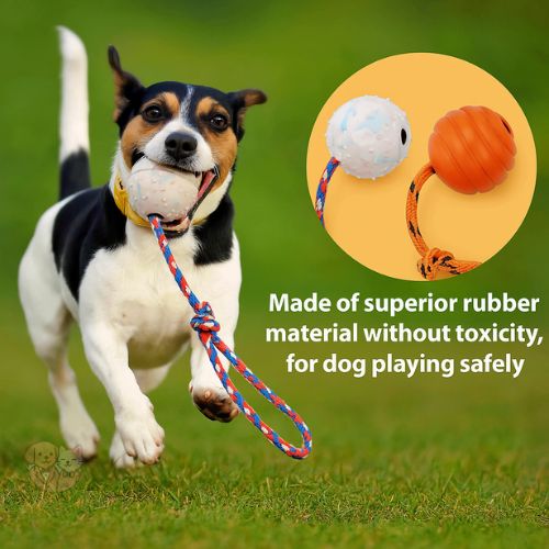 Tug Ball on Solid Rope โ Durable Play Toy for Small & Medium Dogs Tug Ball on Solid Rope โ Durable Play Toy for Small & Medium Dogs
