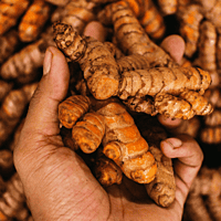 Raaja - Kachchi Haldi (Turmeric Fingers) Raaja - Kachchi Haldi (Turmeric Fingers)