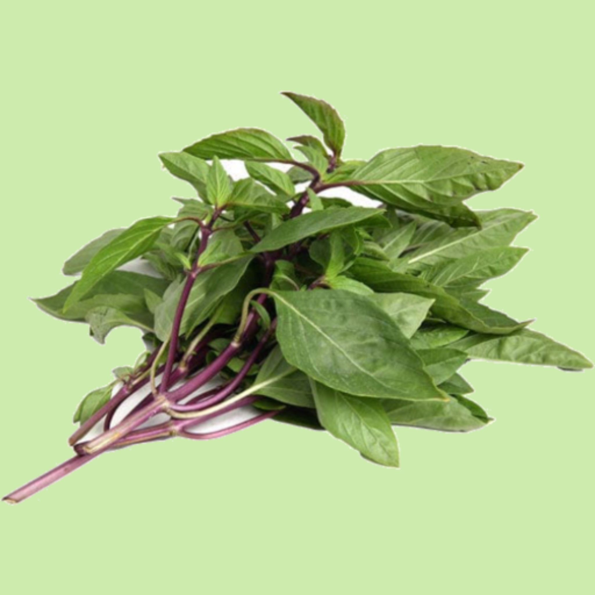 Basil Thai - 50g