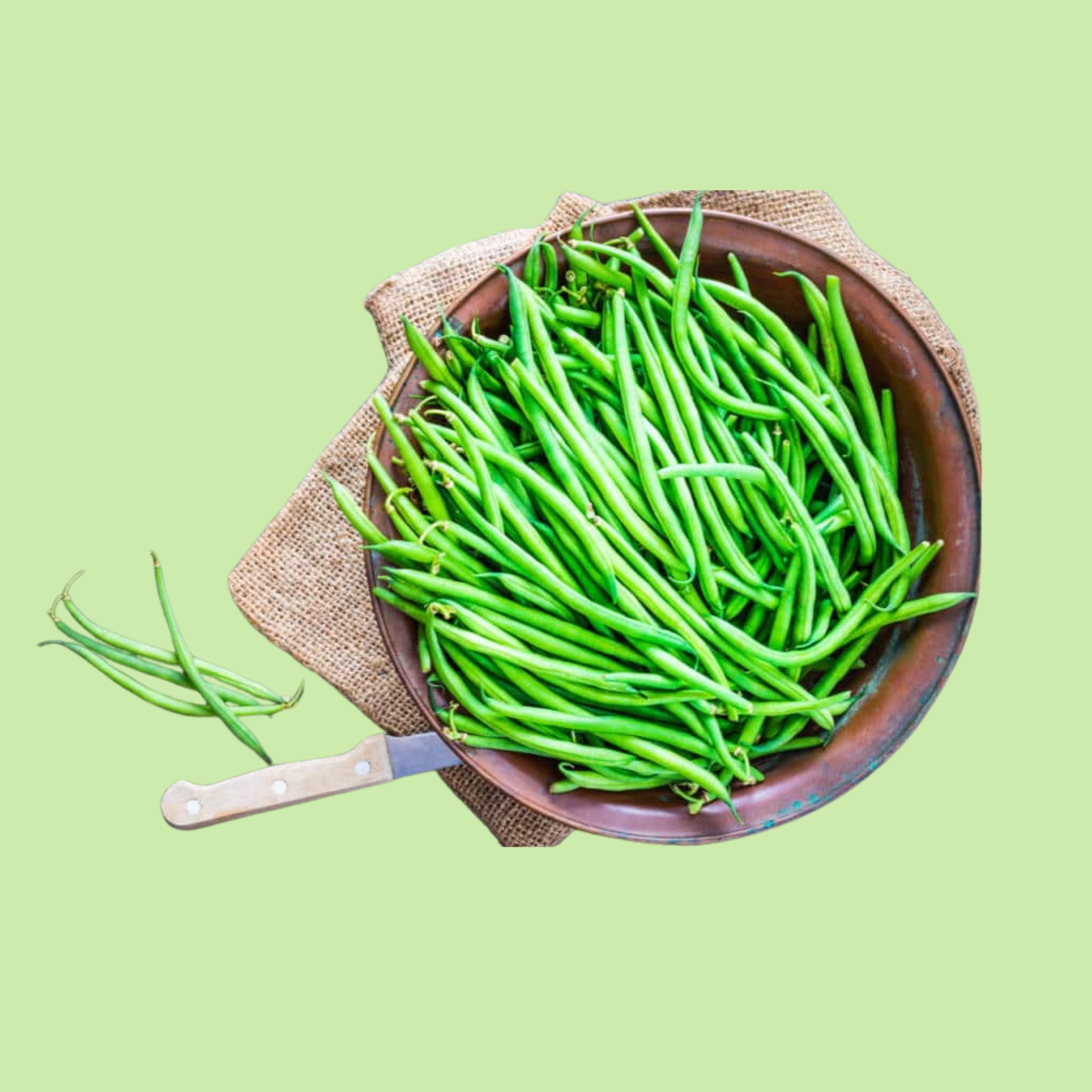 Beans Ring - 500g