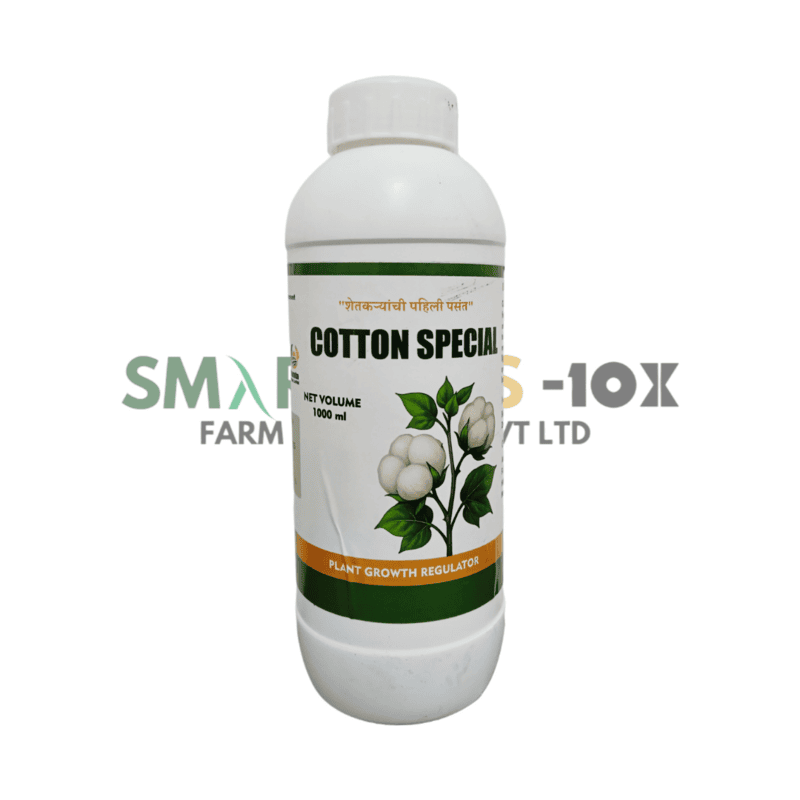 Cotton Special