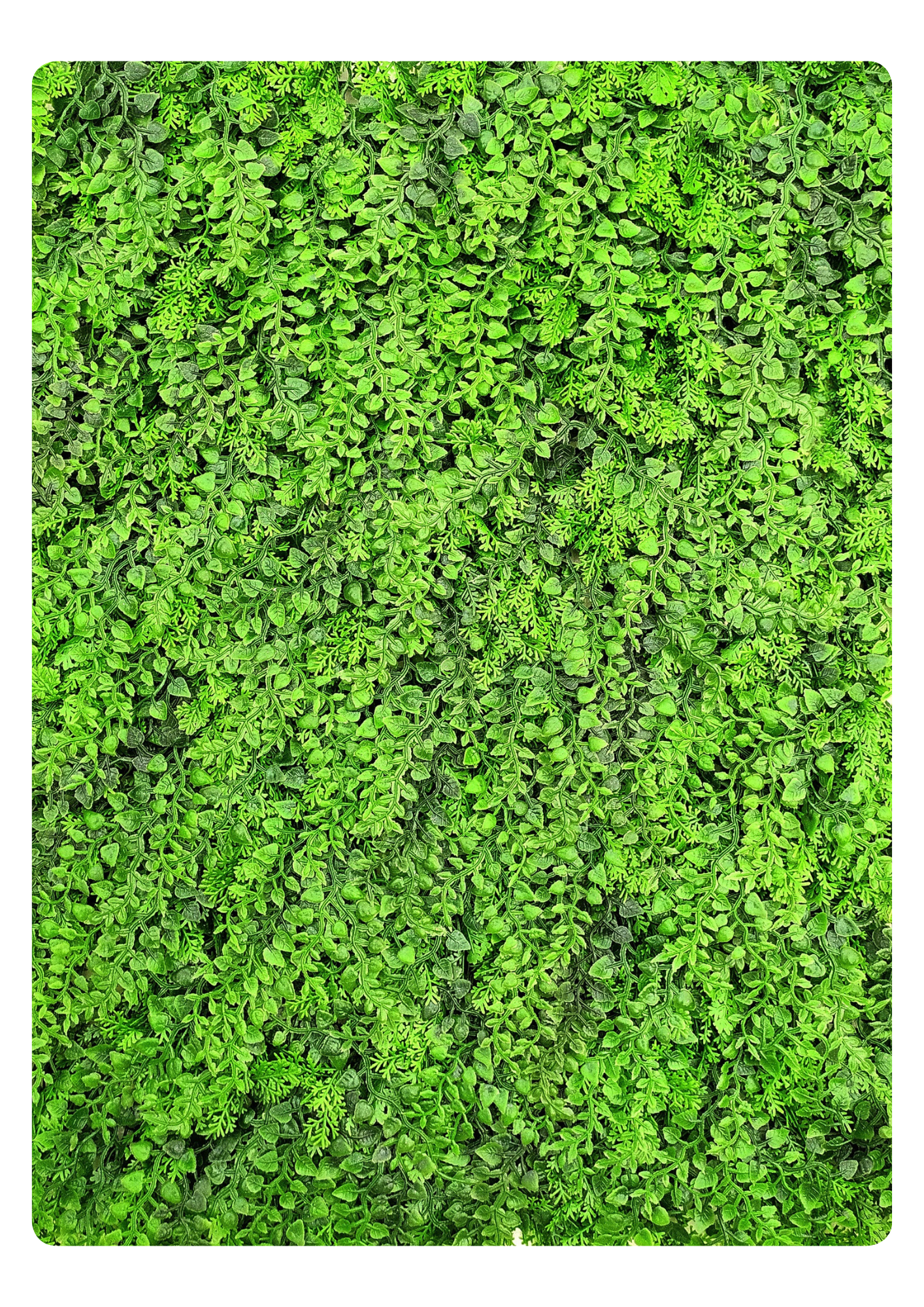 Artificial Veritical Garden 2310 Artificial Veritical Garden 2310