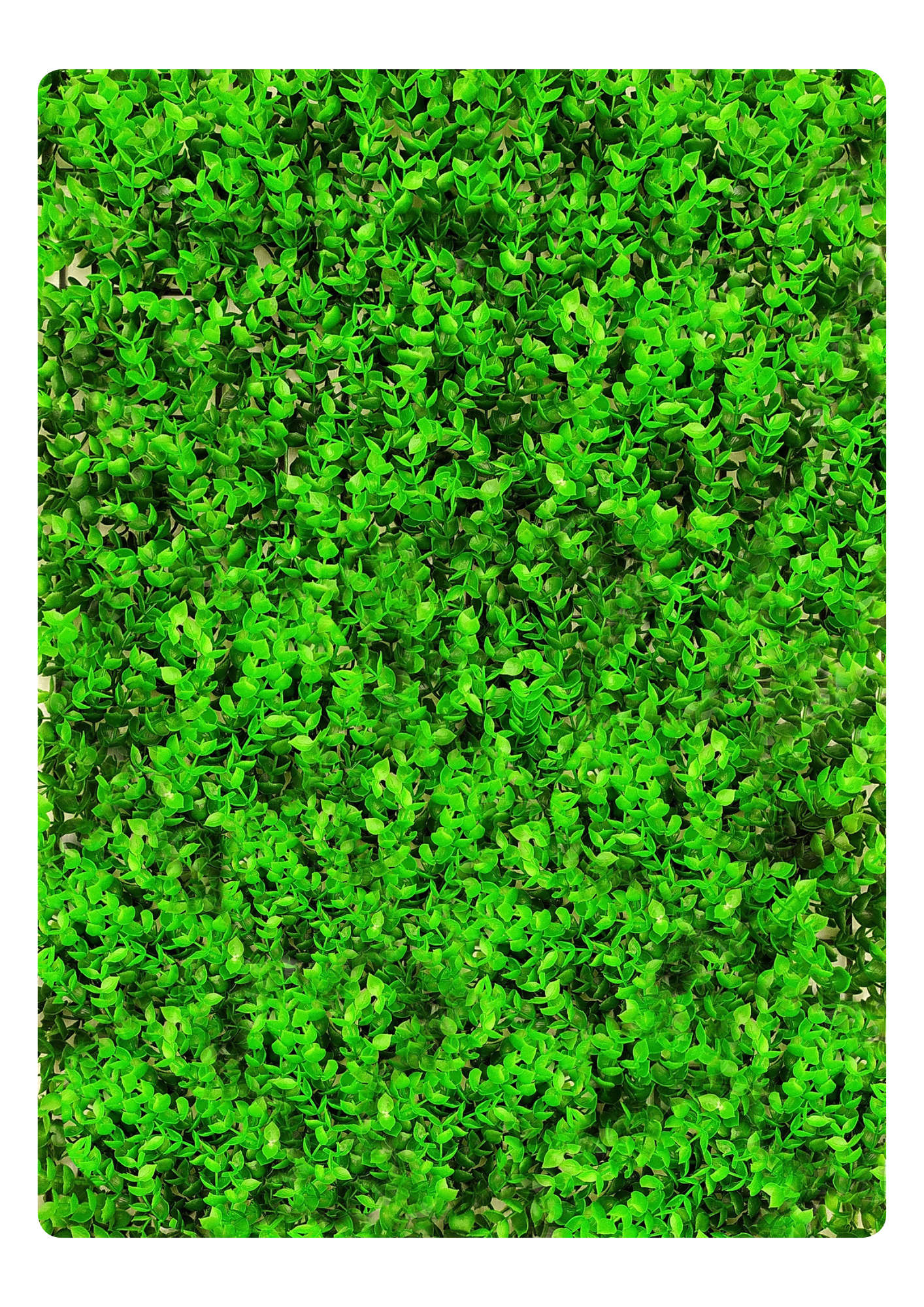 Artificial Veritical Garden 2303 Artificial Veritical Garden 2303