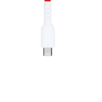 Champion TPE Micro/Red 3Amp (1mtr)-Series C Champion TPE Micro/Red 3Amp (1mtr)-Series C