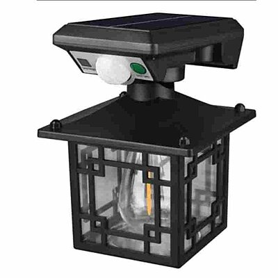 Monkey Round White Light + Tungsten Solar Sensor Light