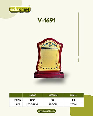 V-1691M No:2 18.50CM 18%