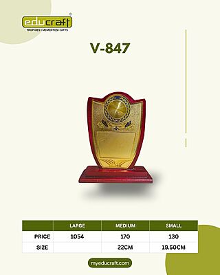 V-847M 22.50CM 18%