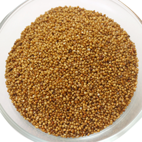 VARAGU (KODO MILLET) VARAGU (KODO MILLET)