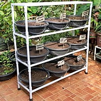 vertical 4 shelf stand detachable for leafy vegetables growing