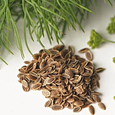 Dill Seeds / Suwa Seeds 100gms