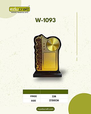W-1093L TROPHY 19CM