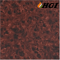 WD004D5-1M Width Transfer Printing Film WD004D5-1M Width Transfer Printing Film