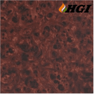 WD004D5-1M Width Transfer Printing Film WD004D5-1M Width Transfer Printing Film