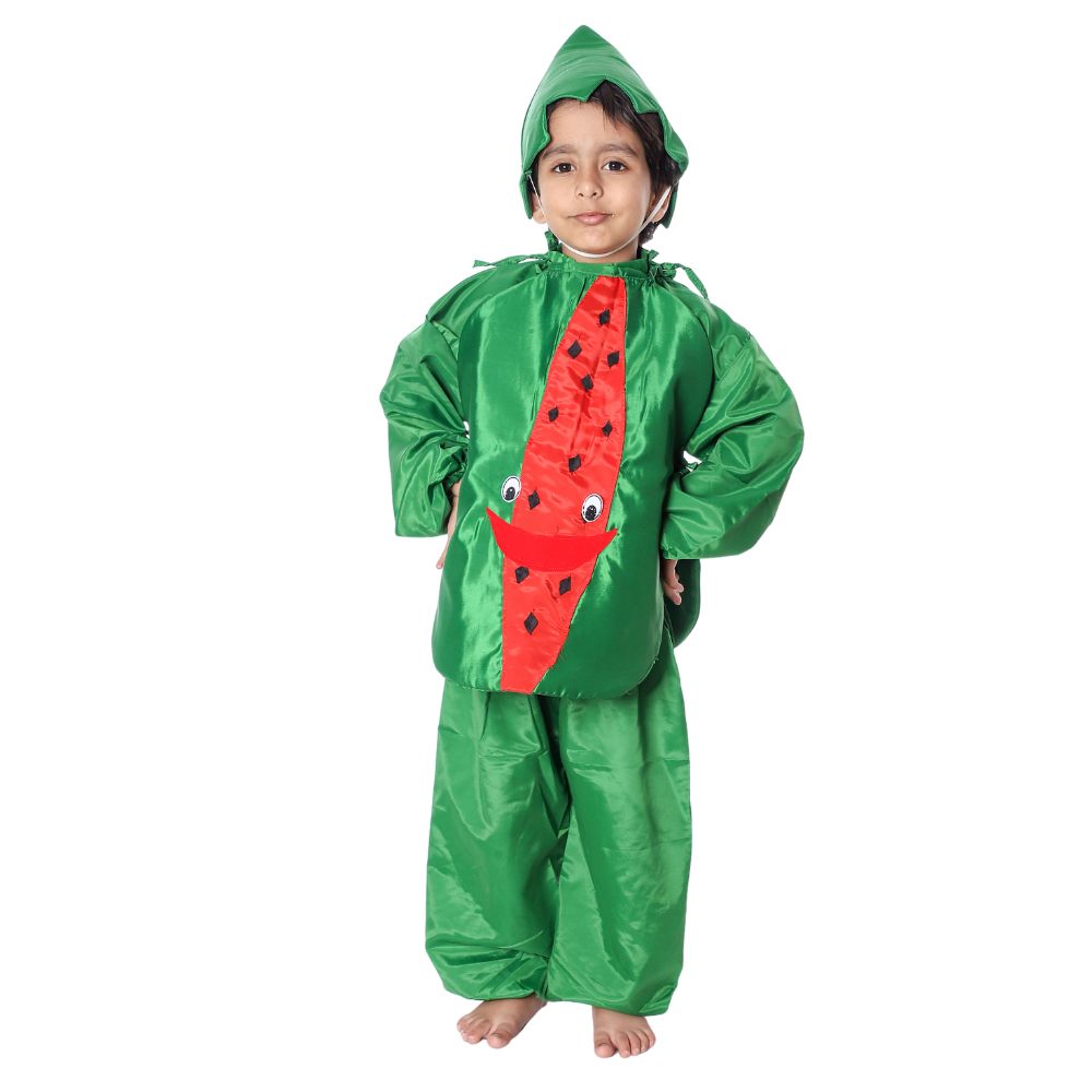 Watermelon Fancy Dress Costume Watermelon Fancy Dress Costume