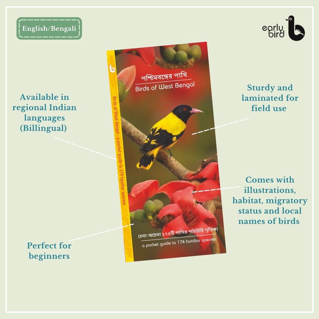 Early Bird Pocket Guides Early Bird Pocket Guides