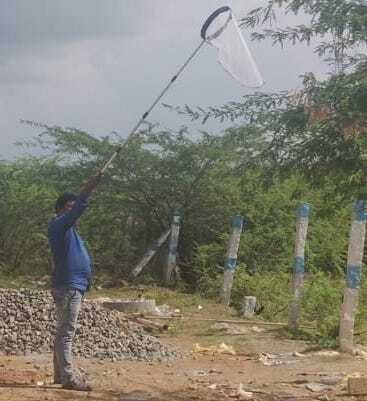 Insect collection net with general mesh with 30cm bag with 4-step Telescopic Extendable pole 61-141cm Insect collection net with general mesh with 30cm bag with 4-step Telescopic Extendable pole 61-141cm