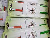 Tri Color Seed Pencils Eco-Friendly Charcoal Pencil |  wood-free pencils(Pack of 10)