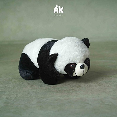 Panda Toy