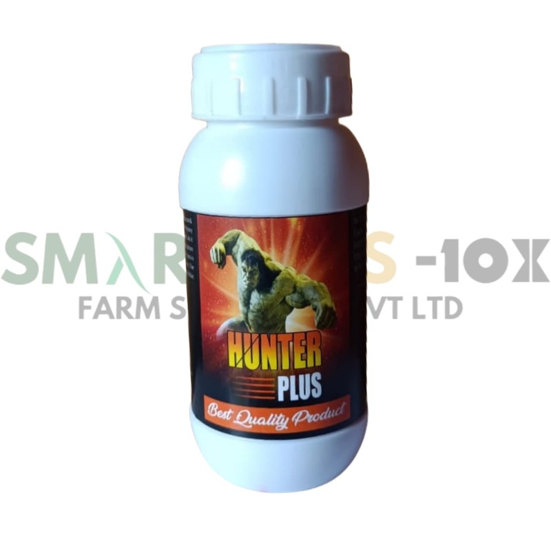 Hunter