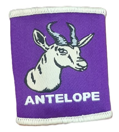 Woggle - Patrol Antelope