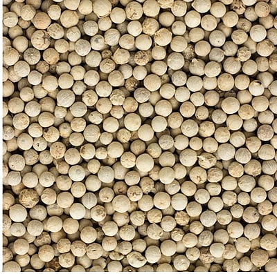 White Pepper
