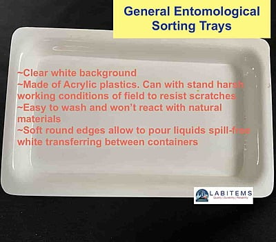 Larval sorting Tray Small Acrylic Based Larval sorting Tray Small Acrylic Based