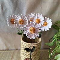 Crochet White Daisy (Bunch of 6) Crochet White Daisy (Bunch of 6)