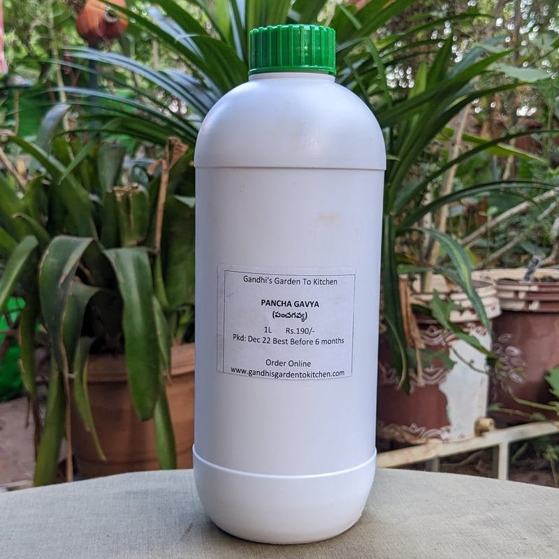 1 Ltr Panchagavya Liquid Fertiliser 1 Ltr Panchagavya Liquid Fertiliser