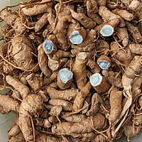 250gms Black Turmeric Seeds Rhizomes | నల్ల పసుపు (Curcuma caesia)