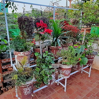 6 feet Two step Garden Stand with Frame Detachable Type Size in Inches 72(L)X23W) X64(H)