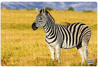 Zebra in the Grasslands 252 Pcs