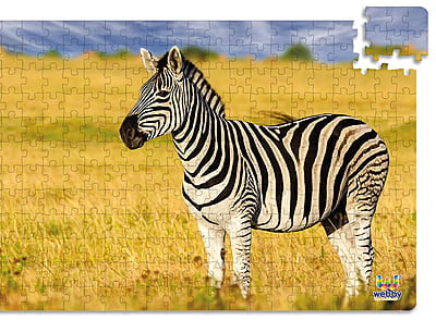 Zebra in the Grasslands 252 Pcs