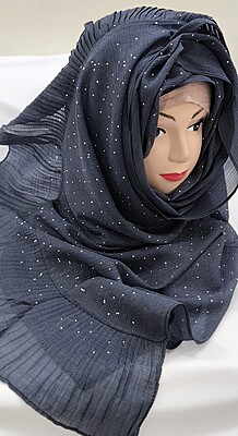 Zera Premium Malaysian Georgette Shimmer Border Embellished Stone and Frill