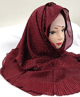 Zera Premium Malaysian Georgette Shimmer Border Embellished Stone and Frill