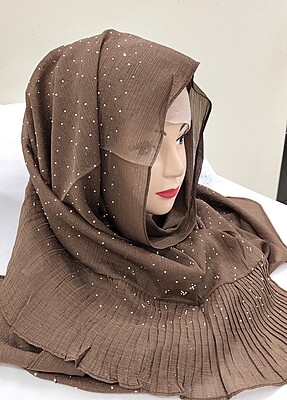 Zera Premium Malaysian Georgette Shimmer Border Embellished Stone and Frill