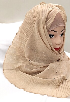 Zera Premium Malaysian Georgette Shimmer Border Embellished Stone and Frill