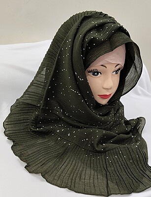 Zera Premium Malaysian Georgette Shimmer Border Embellished Stone and Frill