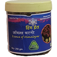 Amla Chutney