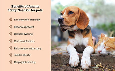 PetWell Hemp Seed Oil for Dogs & Cats - 100ml PetWell Hemp Seed Oil for Dogs & Cats - 100ml