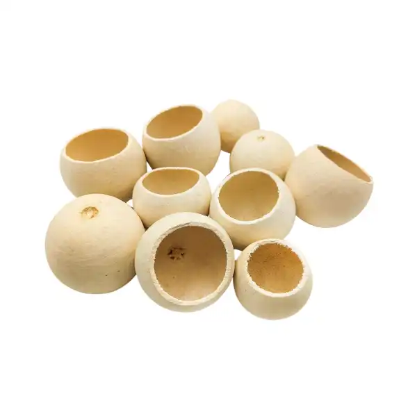 Bell cup dried exotic for floral décor and potpourri Bell cup dried exotic for floral décor and potpourri