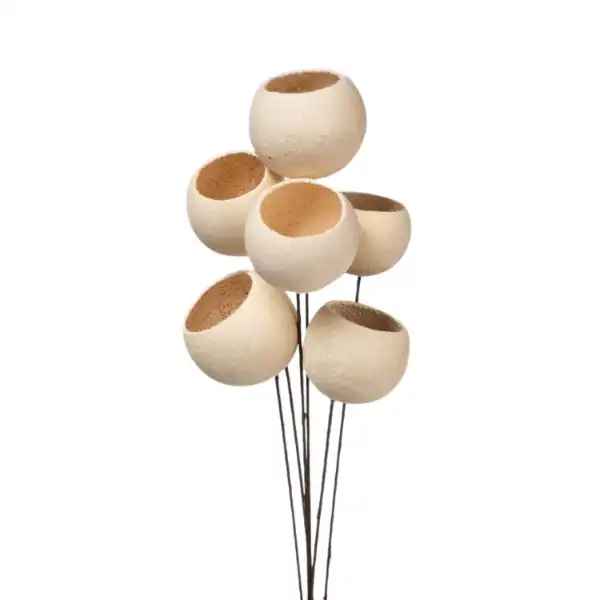 dried Bell cup on stick for floral décor, potpourri, and crafts dried Bell cup on stick for floral décor, potpourri, and crafts