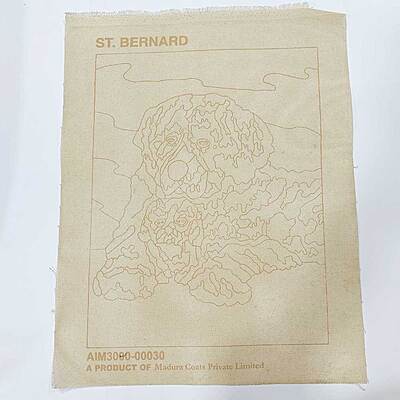 Long Stitch Sampler sheet- St.Bernard
