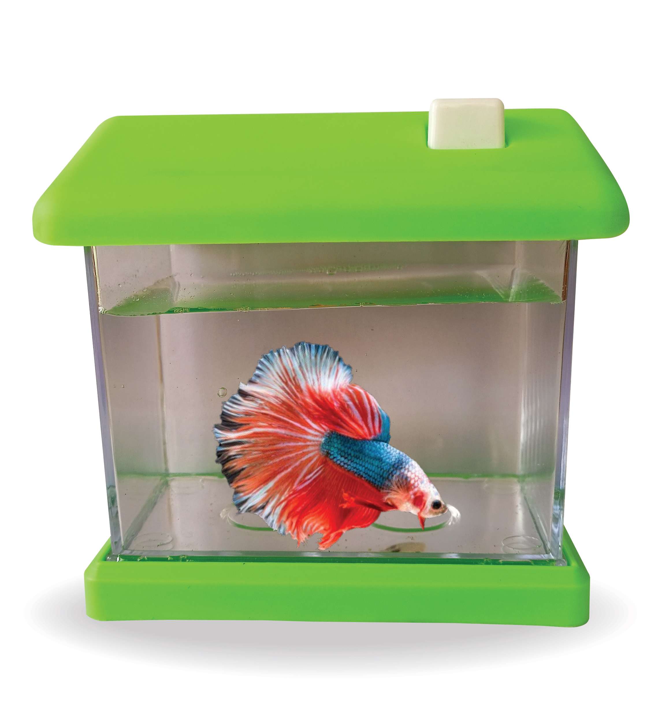 FlyExtreme Betta Fish Tank Mini house