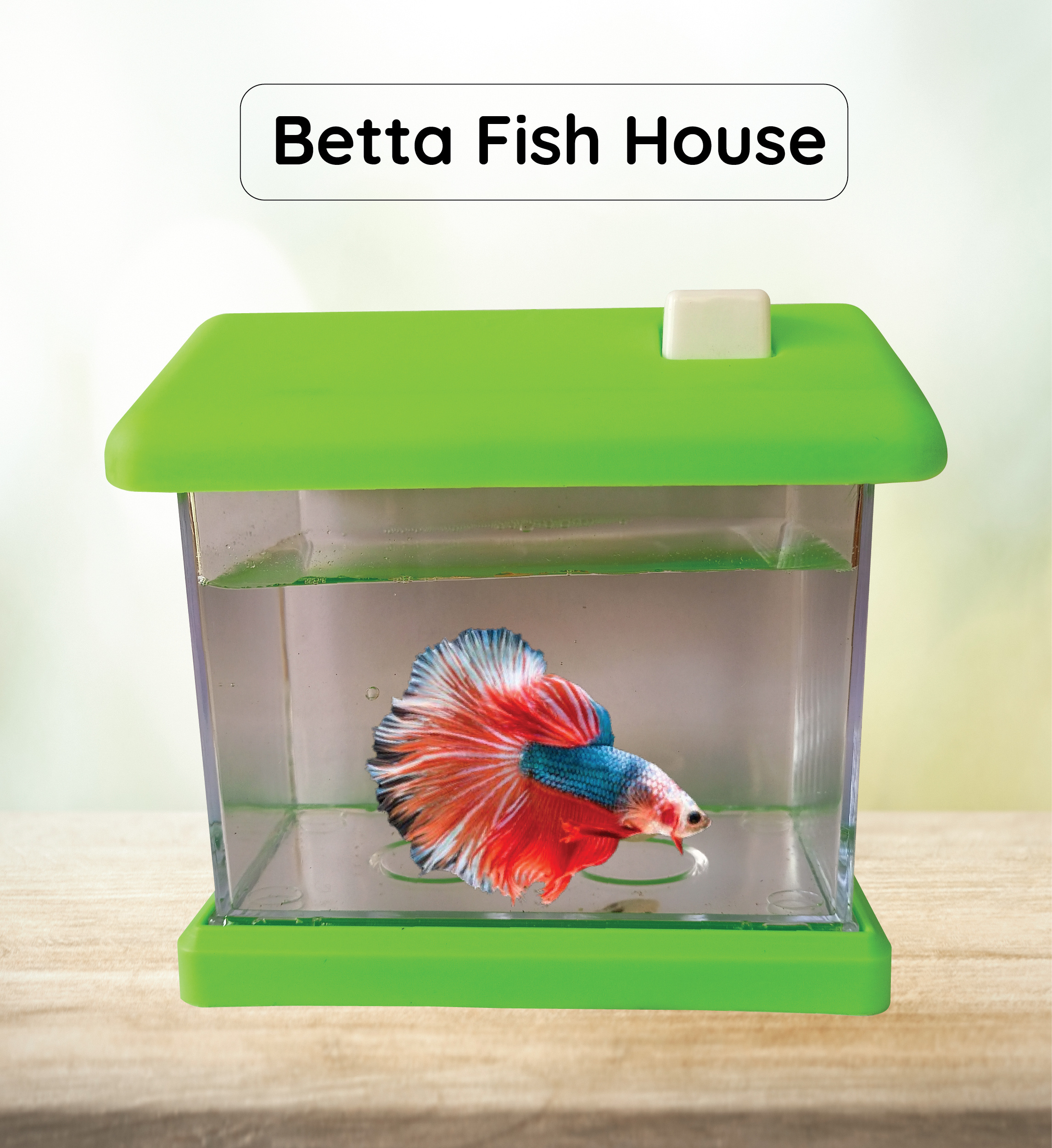 FlyExtreme Betta Fish Tank Mini house FlyExtreme Betta Fish Tank Mini house