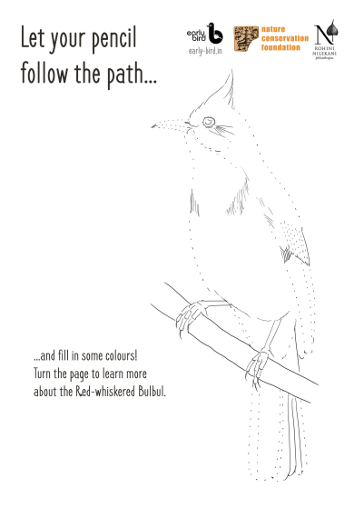 Be a Neighborhood Naturalist : Explore Nature With Activities and Experiments Be a Neighborhood Naturalist : Explore Nature With Activities and Experiments