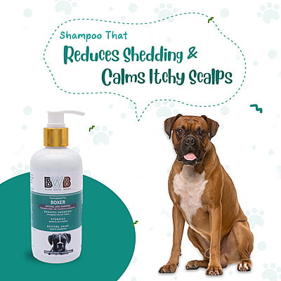 BWB BOXER SHAMPOO