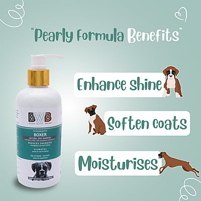 BWB BOXER SHAMPOO