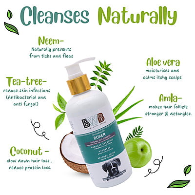 BWB BOXER SHAMPOO