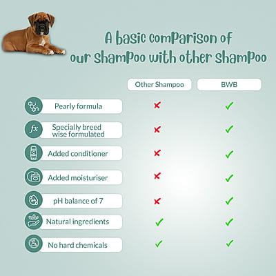 BWB BOXER SHAMPOO