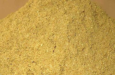 Coriander Powder - 1kg